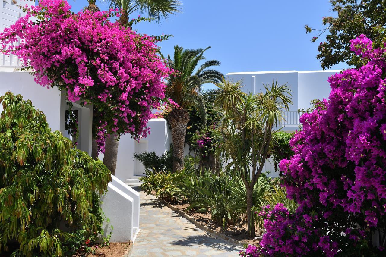 Astir Of Paros Hotel Náusza Kültér fotó