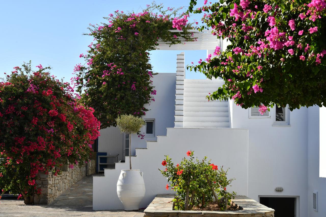 Astir Of Paros Hotel Náusza Kültér fotó