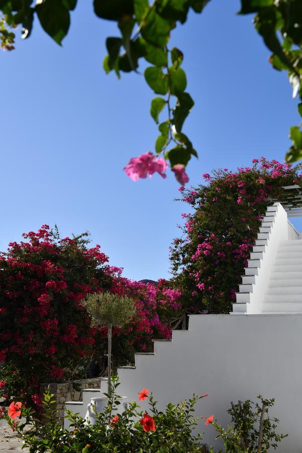 Astir Of Paros Hotel Náusza Kültér fotó